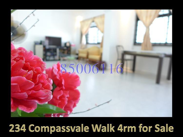 Blk 234 Compassvale Walk (Sengkang), HDB 4 Rooms #118342082